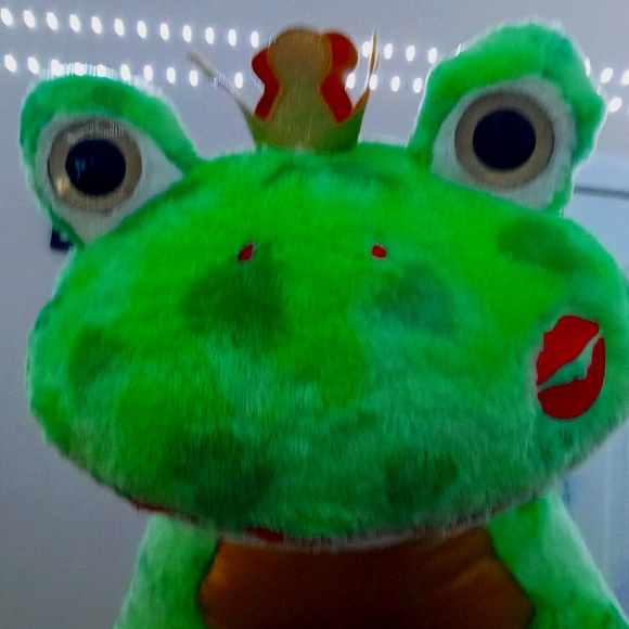 A froggy teddy bear